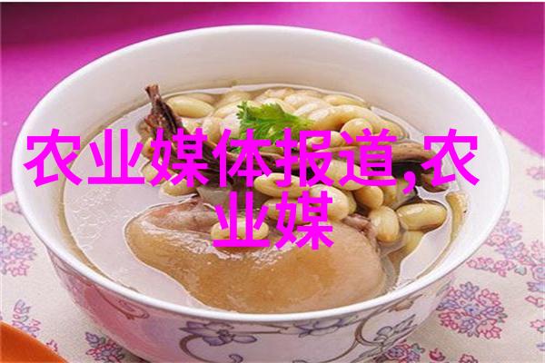 升降机的安全之谜揭开运输机械背后的秘密