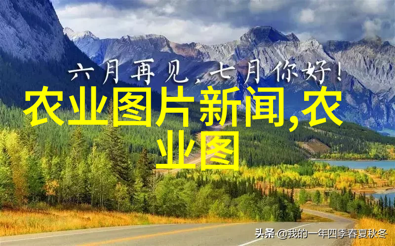揭秘泥鳅养殖剖析一场声名狼藉的骗局背后的真相