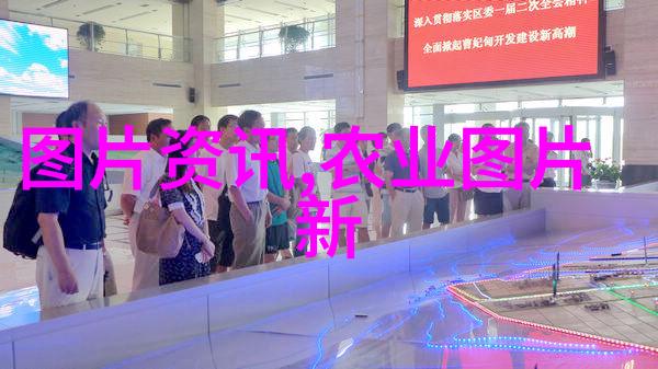 大棚蔬菜怎么种我来教你如何在家里搞个小型的大棚蔬菜园