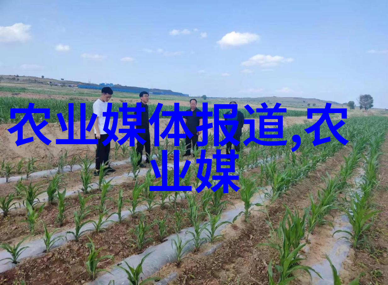 无土栽培技术开启新时代的花卉和蔬菜生产模式