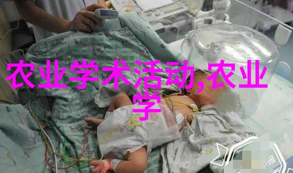 冬日蜂园守护冰雪中的甜蜜秘密