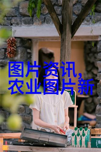 水产养殖新潮流泥鳅养殖技巧全解析