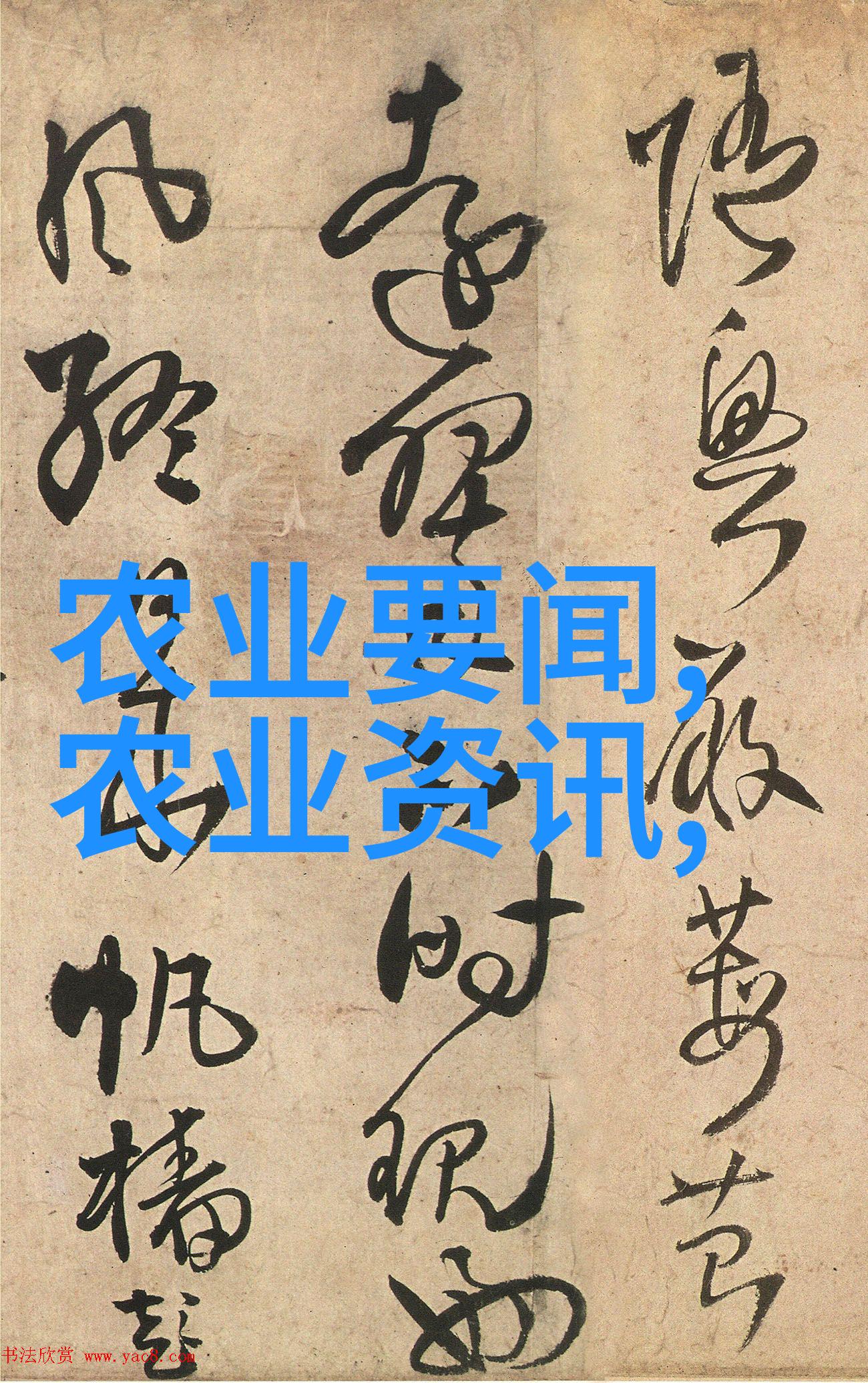 金钱与泥土农民的财富之谜