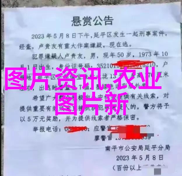 农业生产的智慧与实践种植技术养殖法则与生态保护