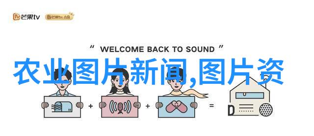男神的婚后生活从红毯到家中的温馨瞬间