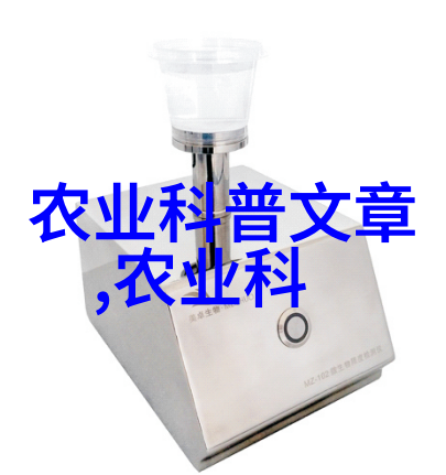 时光少年回忆中的摇滚梦想