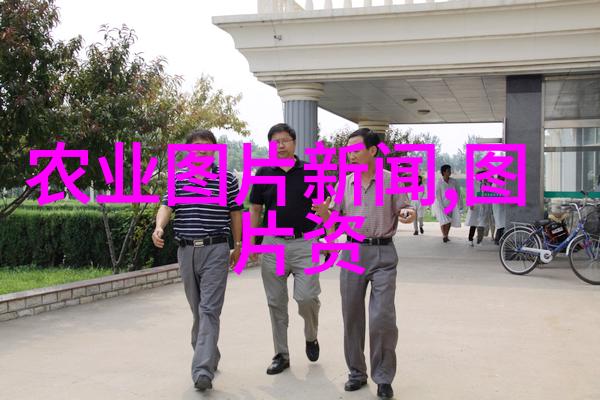 最容易种的水果有哪些家庭园艺中常见易于照料的水果树种