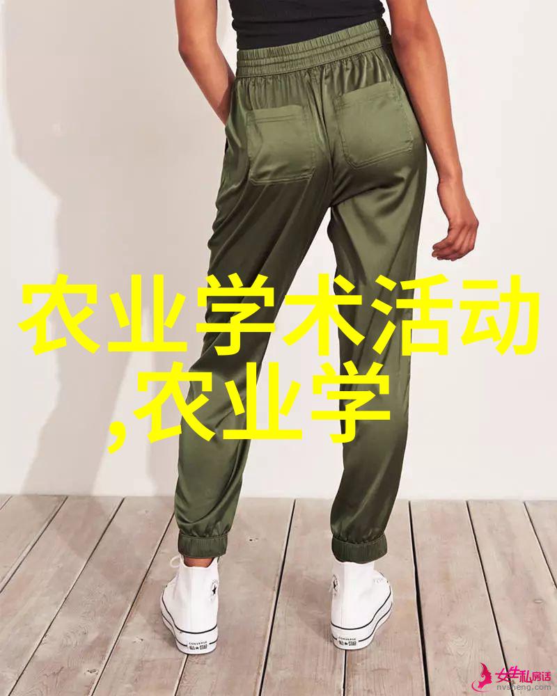 茶艺探秘揭开中国传统茶文化的神秘面纱