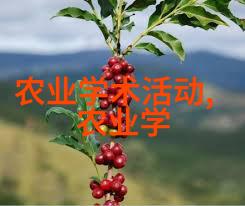 高收益植物种植项目富有潜力的经济效益种植方案