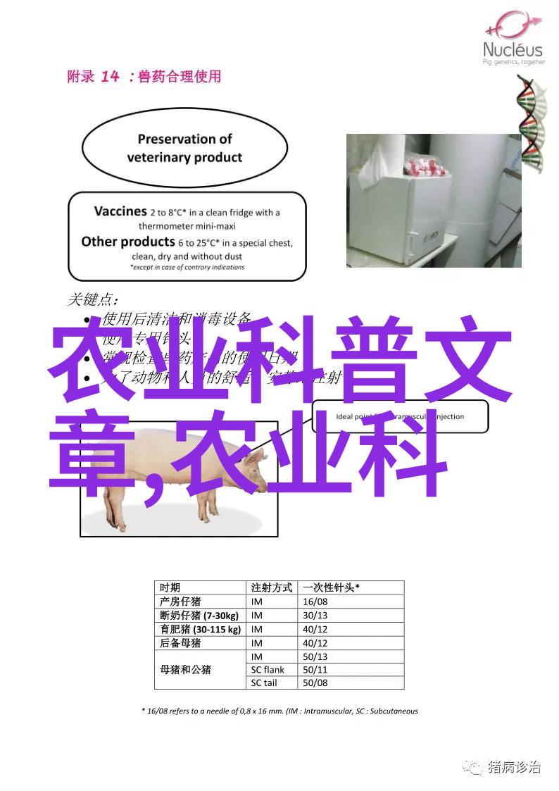 东青春十大花卉之都的秘密花园