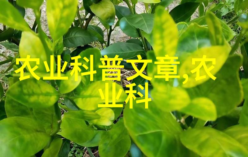 对初学者来说哪些因素应该考虑在购买大量蔬菜时