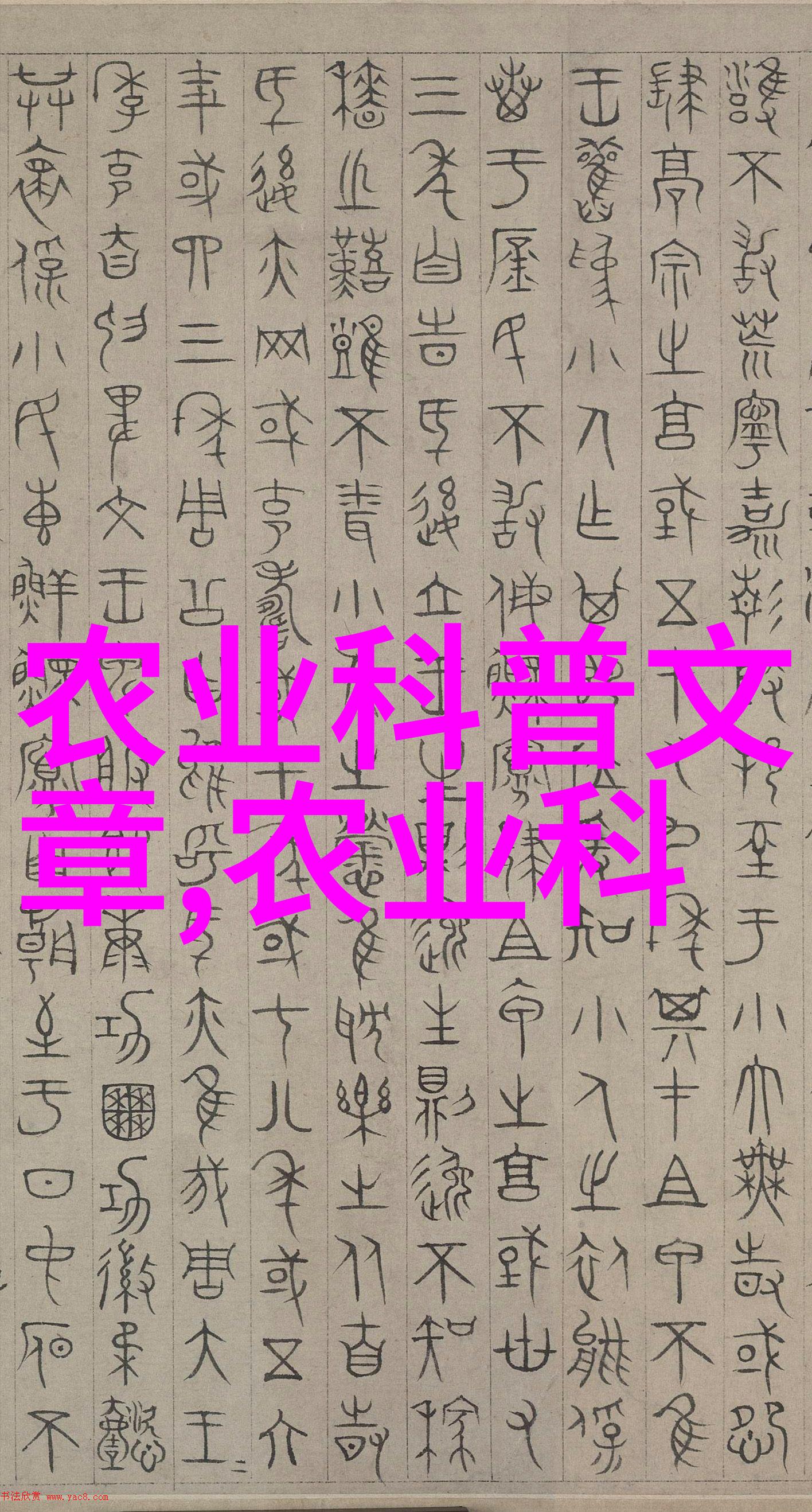 茶下人生揭秘那些让你也能像贵妇一样优雅的女性专属茶叶秘籍