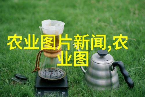 农用拖拉机的多重魅力耕地新时代的引擎