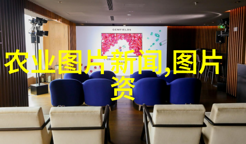 蔬菜种植冬季技巧如何在寒冷季节成功培育健康蔬菜