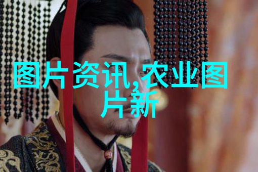 东北中药材种植寒冷地区的草本宝库