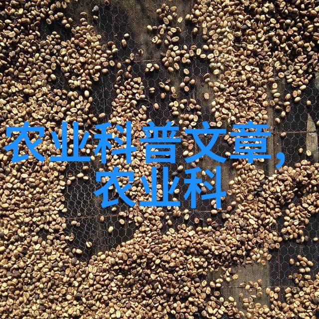 名贵水果名称大全-珠宝箱中的甜蜜珍品