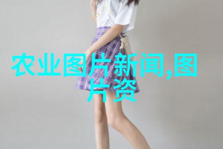 海参深度养殖新技术与实践探究
