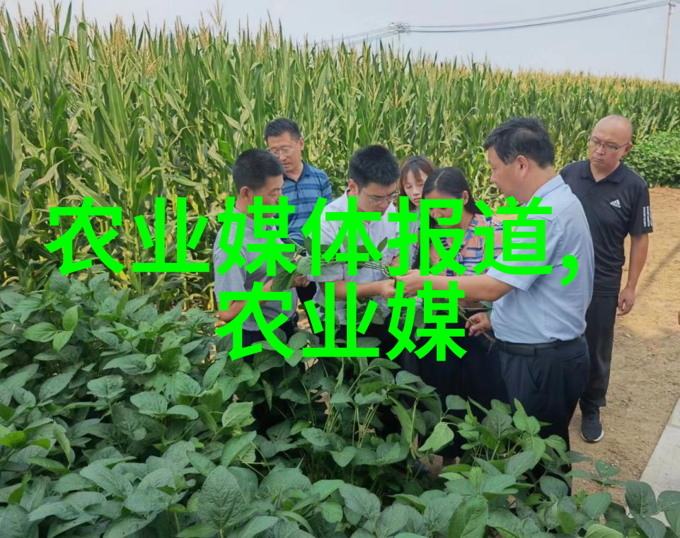 宠物与花卉共存自带防虫机制智能生长的完美兼容型植物介绍