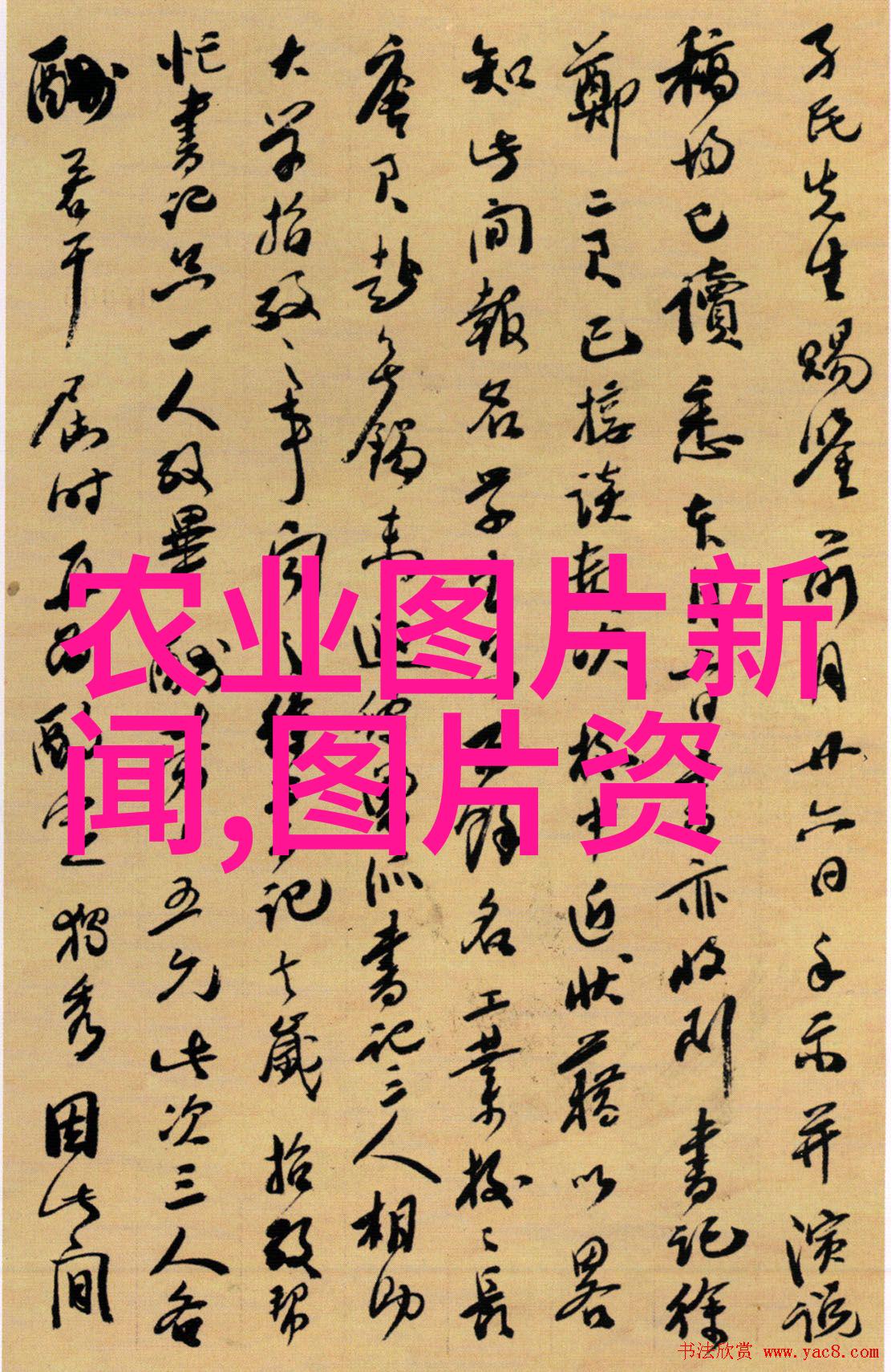 绿色药膳茶叶的秘密力量