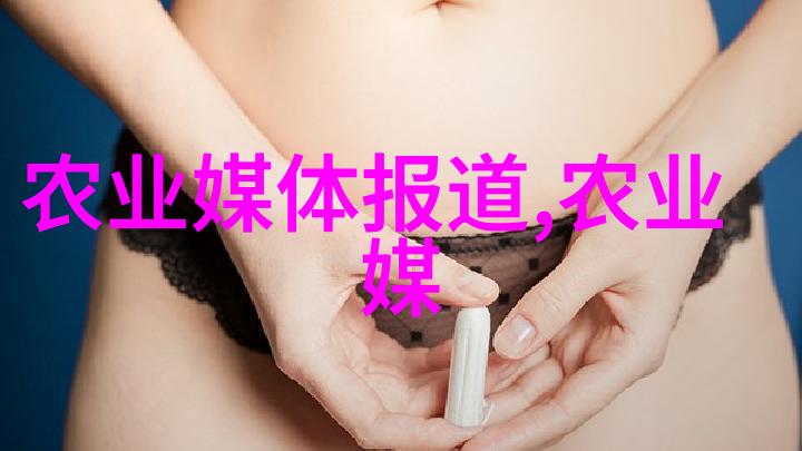 文竹的养殖方法和注意事项 - 精准引导您的园艺之旅