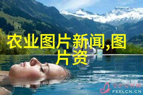 黄姜大作战从种子到香料笑中揭秘