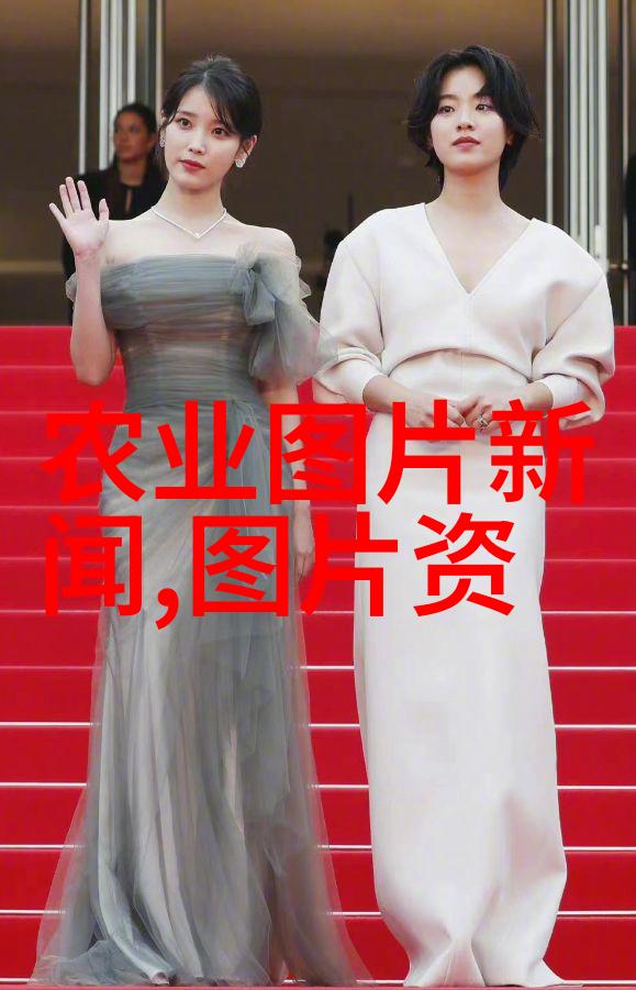 青蛙饲养攻略揭秘养一斤青蛙用多少斤饲料的秘诀