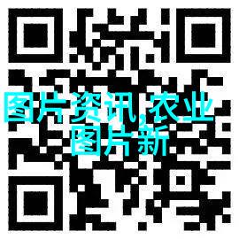 中药材热钱途哪些种植项目最具赚钱潜力