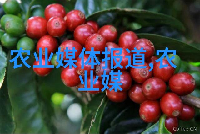 翠绿长廊银杏树的悠久岁月
