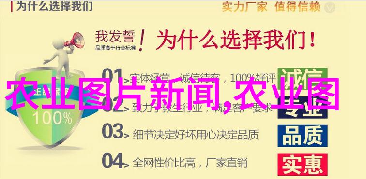 鸽翼丰收深度解析高效的肉鸽养殖技术与管理策略