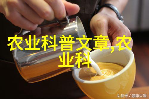 温暖的文字如何用挽回txt唤醒爱情的记忆