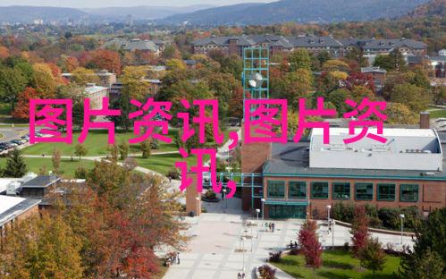 15公分五针松价格-精选五针松品种介绍与市场价格分析