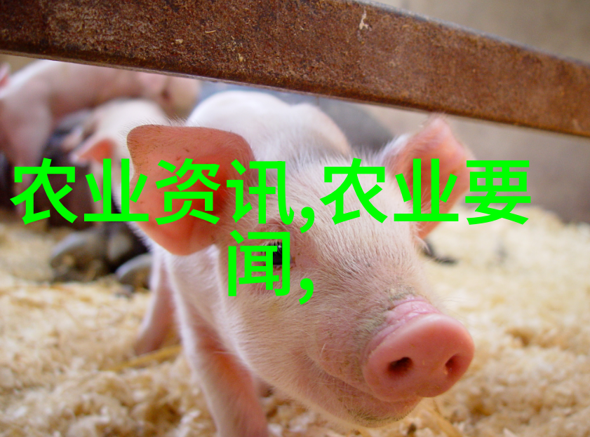 未来农业革命如何利用科技提升2023年的养殖效率