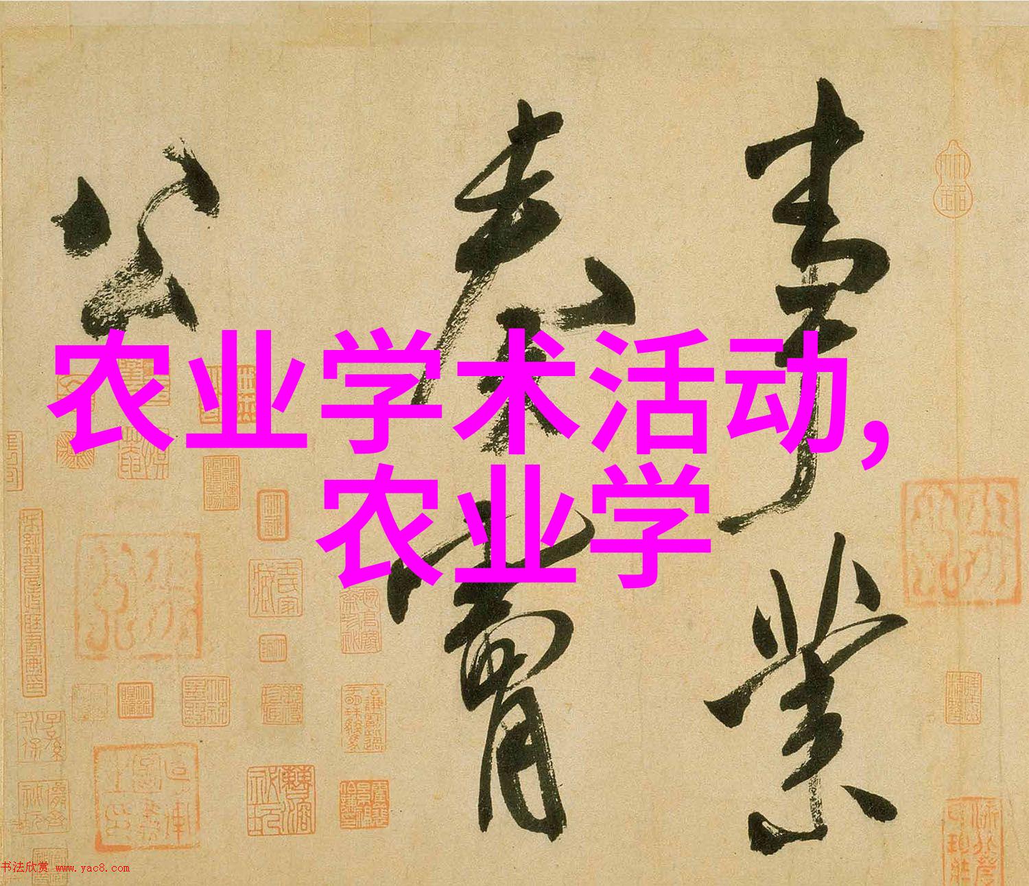 对于新手来说在中国北部种植西瓜需要注意哪些关键步骤