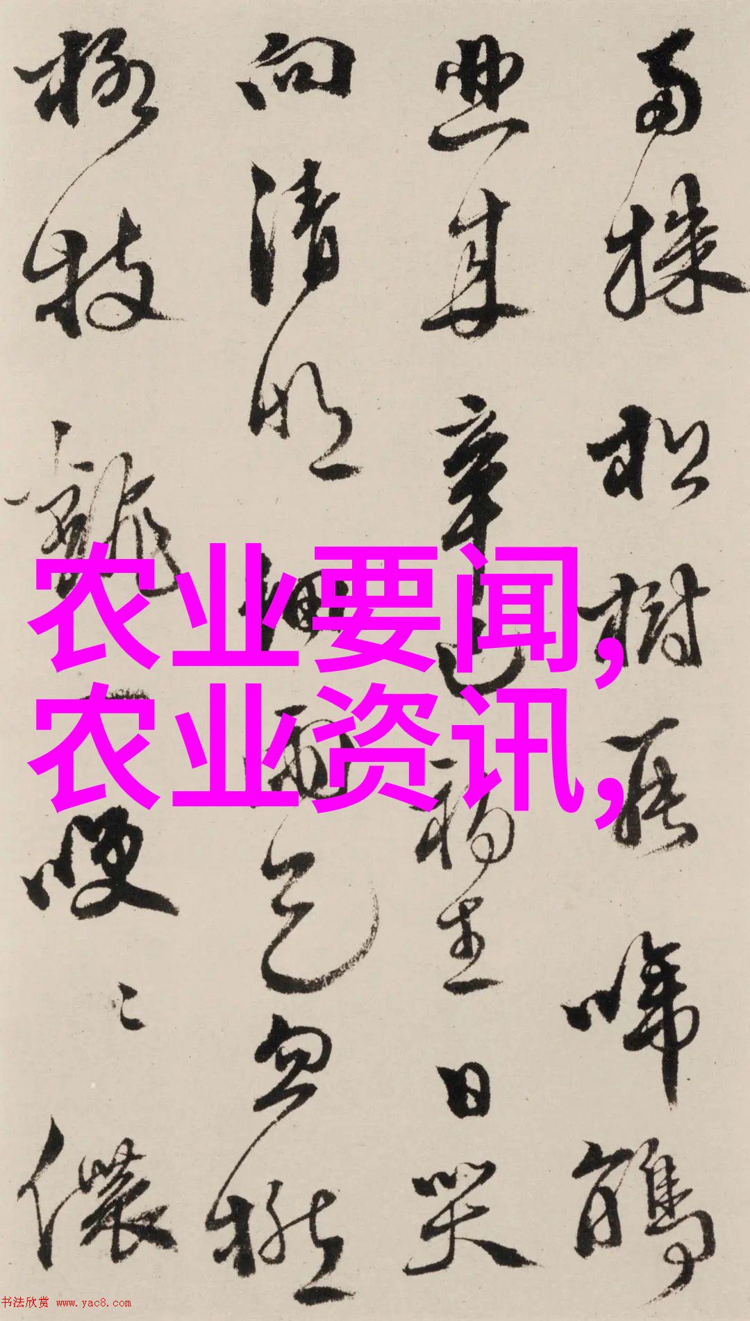 药材之园投资的种子与未来之花