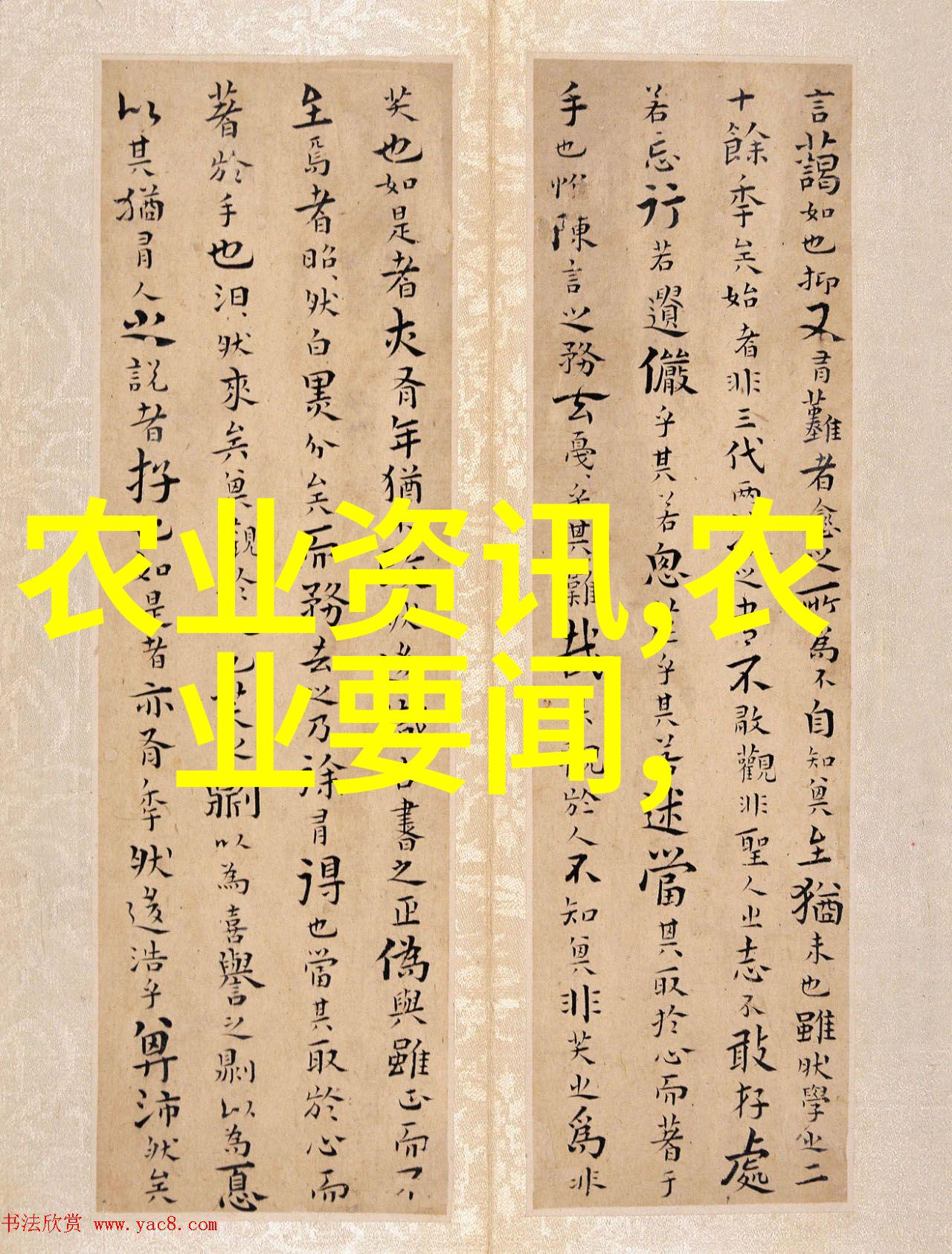 家用玉米棒输送机链条巧妙的食物处理革命
