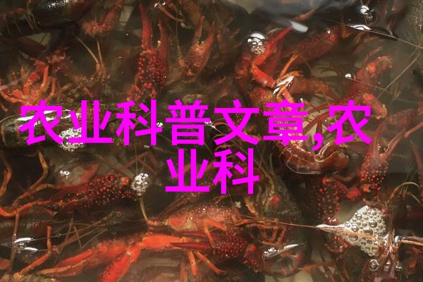 百元草药稀缺珍品与市场奇观的背后