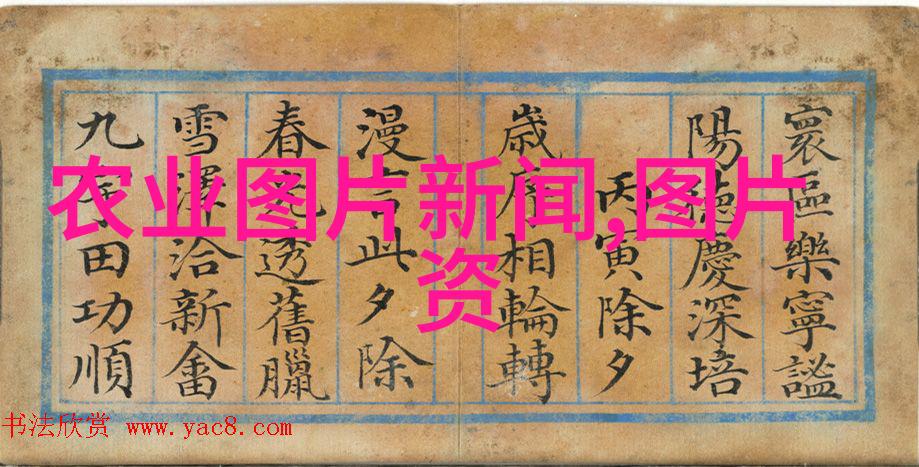 学霸之路揭秘大专毕业证的制作奥秘
