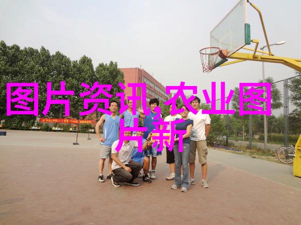 广东中药材种植基地我在这里的故事从田野里的梦想播种到成果的收获