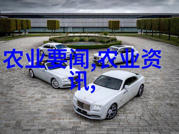 蔬菜大棚温室一亩成本高效农业设施投资估算
