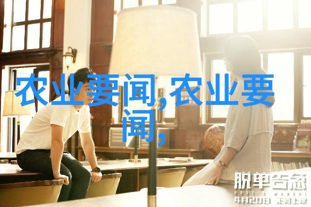 如果遇到市场价格波动该怎么调整经营策略