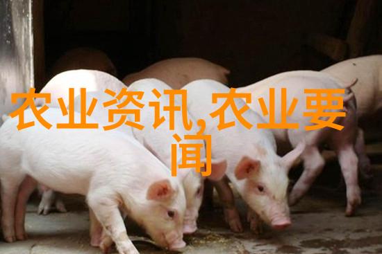 饲料所加入粮农组织畜牧业环境评估与绩效合作