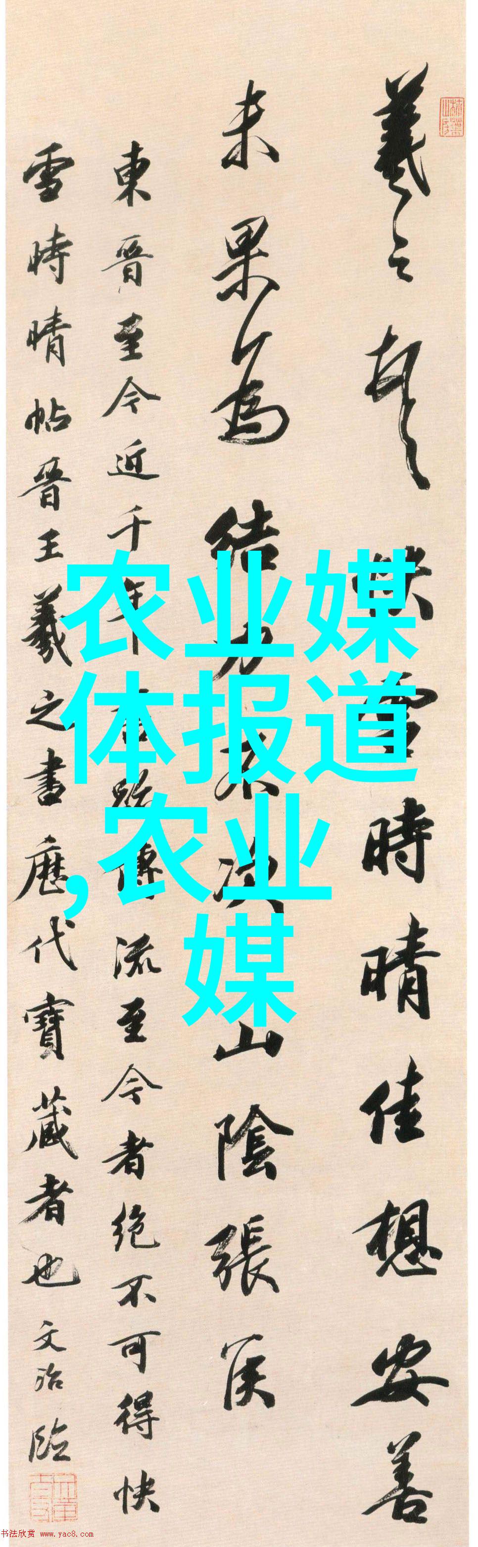 职高女生选择理想专业的指南