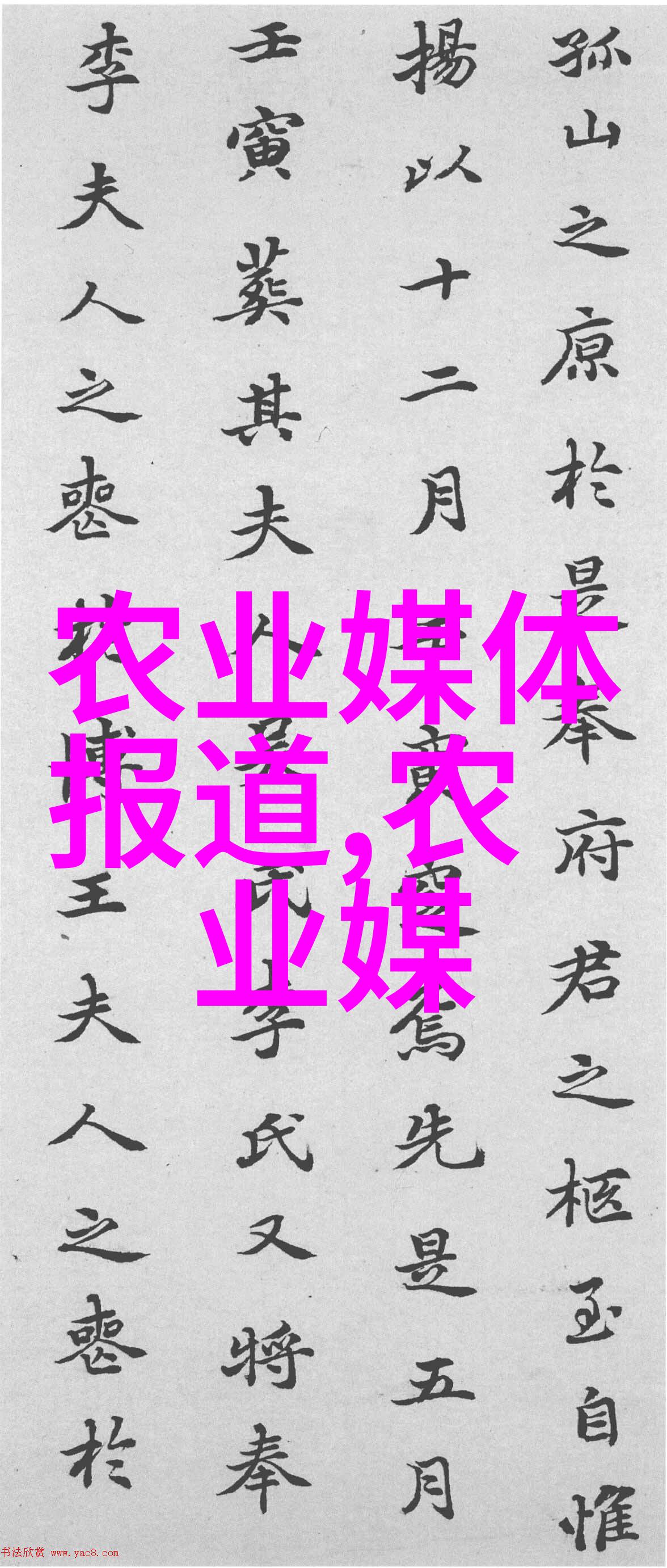 河南最大蔬菜种植基地-碧波荡漾探秘中原之冠的蔬菜帝国