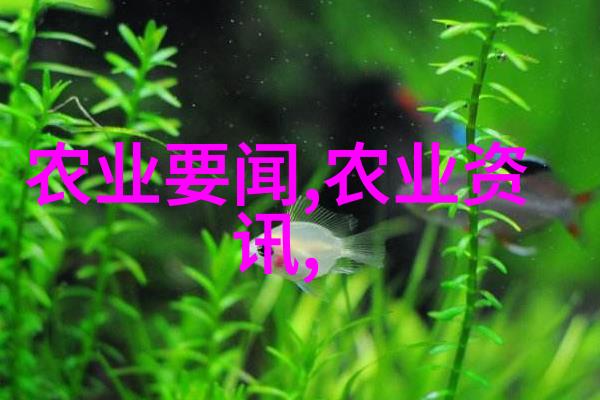 二氧化氯发生器清洁之源的隐秘工作者