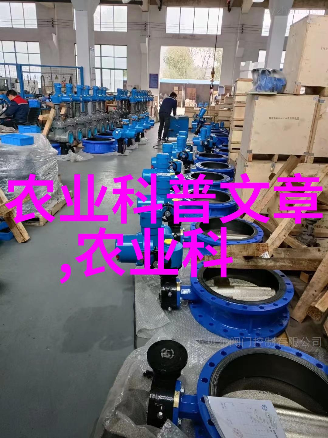 茶艺小品鉴我来给你看一张超美的茶叶形状图片及它的名字