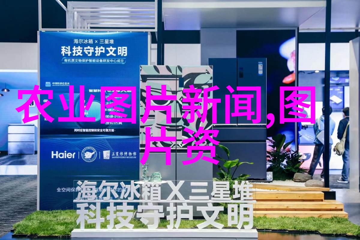 盆栽植物种植技巧室内外盆栽种植方法总结