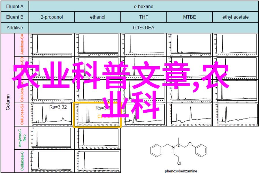 玉米田间管理包括哪些关键步骤以促进植物健康生长