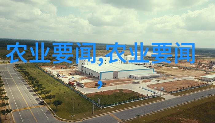 目前市场上种植哪些中药材最具前景