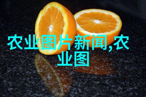 畜牧之道猪群智慧的培育与管理艺术