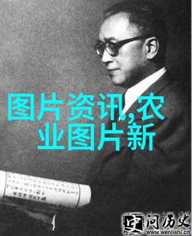 10公分金丝楠苗木价格分析市场走向与购买建议